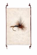 Fishing fly on a white background with a decorative frame