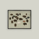 A framed art print depicting a herd of bison, featuring mostly dark brown and black bison with one white and one reddish-brown bison, set against a light gray background.