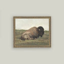 large Framed art print of a bison resting in a grassy field in a vintage inspired frame on a plain background