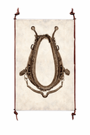 Horse bridle on a textured beige background