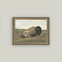 Framed painting of a bison resting in a field with a vintage inspired frame on a plain wall