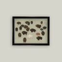 A framed art print featuring a collection of stylized bison in various earthy tones on a light background, enclosed in a black frame and mounted on a neutral wall.