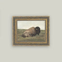 Framed art print of a bison resting in a grassy field with a gold ornate vintage inspired frame on a plain background
