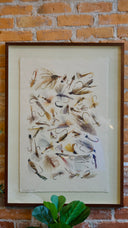 A framed fly fishing art print featuring numerous detailed illustrations of fishing flies and hooks, mounted on a brick wall above a green plant.