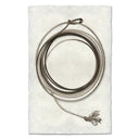 Coiled rope on a white background