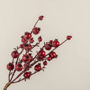 decorative branch of bright red berries dusted with frost, featuring slender brown stems and clustered berries against a white background