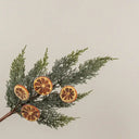 21-inch artificial juniper greenery pick featuring frosted green branches and four decorative dried look orange slices on a brown stem, displayed against a white background