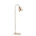 Coleen Gold floor lamp on a white background