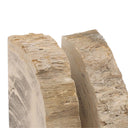 Two pieces of Petrified Wood on a white background