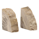 Two Petrified Wood bookends on a white background