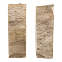 Petrified Wood bookends from the side view on a white background