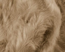 Close-up of brown fur texture