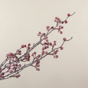 34-inch red frosted berry spray featuring slender branching stems adorned with clusters of small red berries and a snowy frosted finish against a light background