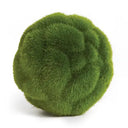 Green moss ball on a white background