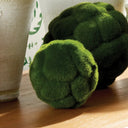 Two green mossy decorative objects with a textured, fuzzy surface resting on a wooden surface next to a ceramic vase.